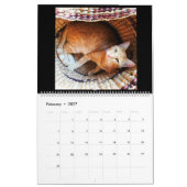 Kalender. 2018. Der Kalender (Feb 2027)