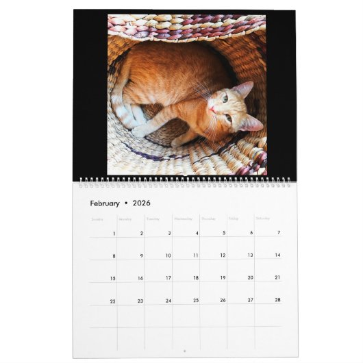 Kalender. 2018. Der Kalender (Feb 2026)