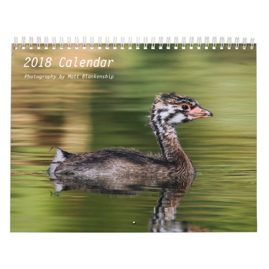 Kalender - 2018 - Medium b (Titelbild)