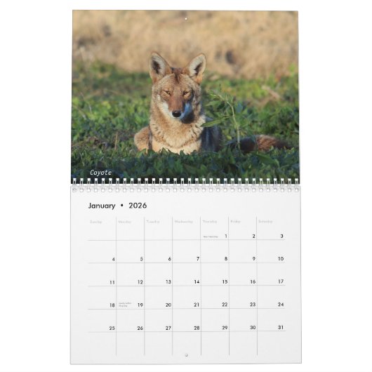 Kalender - 2018 - Medium b (Jan 2026)