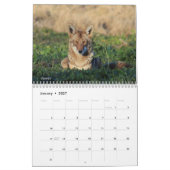 Kalender - 2018 - Medium b (Jan 2027)