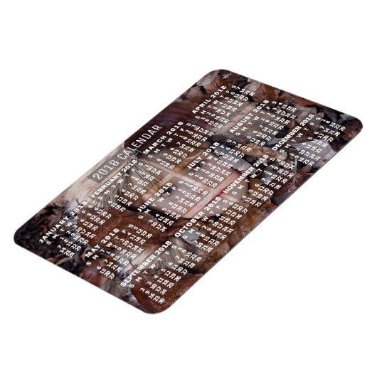 Kalender 2018 (Siehe Beschreibung der neuen Versio Magnet (Linke Seite)