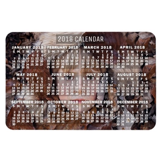 Kalender 2018 (Siehe Beschreibung der neuen Versio Magnet (Horizontal)