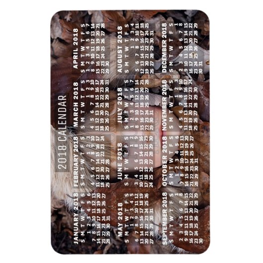 Kalender 2018 (Siehe Beschreibung der neuen Versio Magnet (Vertikal)