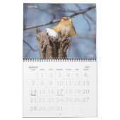 Kalender 2018 von Vogel-Fotografie (Mär 2027)