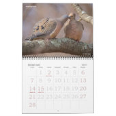 Kalender 2018 von Vogel-Fotografie (Feb 2027)