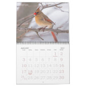 Kalender 2018 von Vogel-Fotografie (Jan 2027)