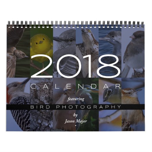 Kalender 2018 von Vogel-Fotografie (Titelbild)