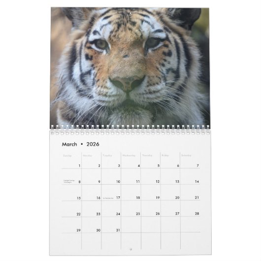 Kalender 2019 (Mär 2026)