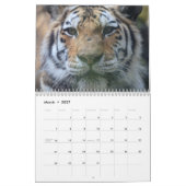 Kalender 2019 (Mär 2027)