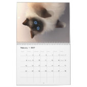 Kalender 2019 - Alles über Katzen! (Feb 2027)