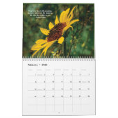 Kalender 2019 mit Fotos und Quoten (Feb 2026)