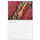 Kalender 2019 - Unter der Oberfläche des Ozeans (Feb 2027)