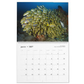 Kalender 2019 - Unter der Oberfläche des Ozeans (Jan 2027)