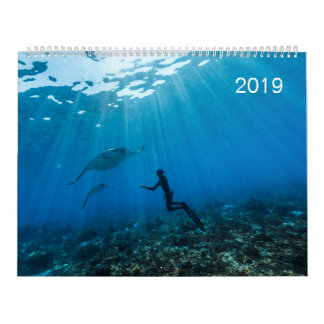 Kalender 2019 - Unter der Oberfläche des Ozeans