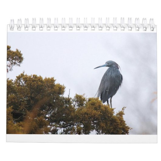 Kalender 2020 (Rückseite)