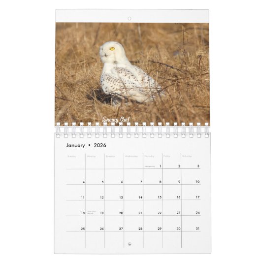 Kalender 2020 (Jan 2026)