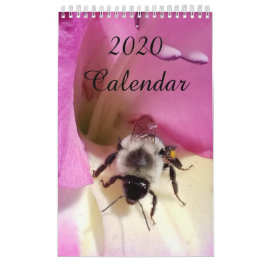 Kalender 2020