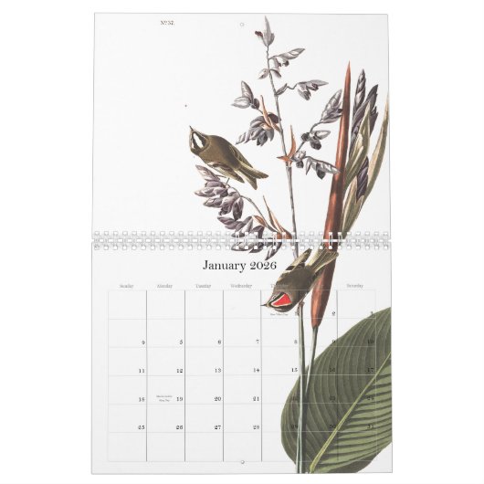 Kalender 2020 der Audubon Vogel-Tier-Tier-2019 (Jan 2026)