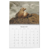 Kalender 2020 der Vogel-Tier-Fotografie-2019 (Jan 2027)