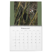 Kalender 2020 der Vogel-Tier-Fotografie-2019 (Feb 2027)