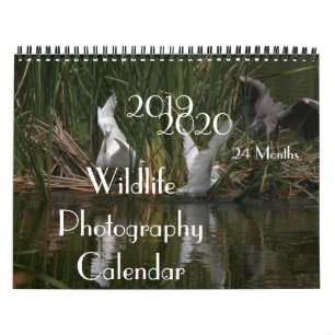 Kalender 2020 der Vogel-Tier-Fotografie-2019