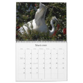 Kalender 2020 der Vogel-Tier-Fotografie-2019 (Mär 2026)