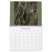 Kalender 2020 der Vogel-Tier-Fotografie-2019 (Feb 2026)