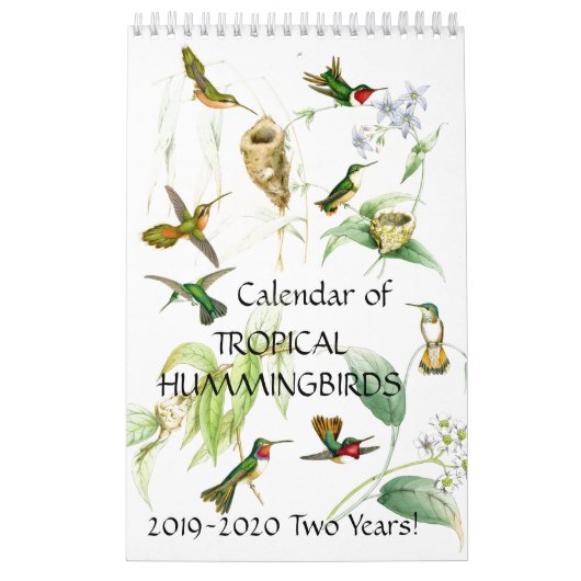 Kalender 2020 des Kolibri-Vogel-Blumen-Tier-2019 (Titelbild)