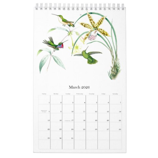 Kalender 2020 des Kolibri-Vogel-Blumen-Tier-2019 (Mär 2026)