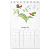 Kalender 2020 des Kolibri-Vogel-Blumen-Tier-2019 (Feb 2026)