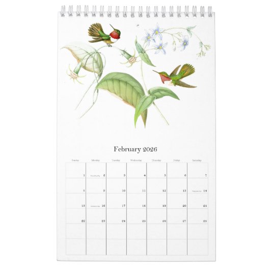 Kalender 2020 des Kolibri-Vogel-Blumen-Tier-2019 (Feb 2026)