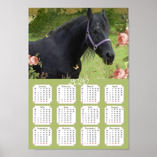 Kalender 2020 Pferd ~ Poster (Vorne)