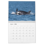 Kalender 2020 - Walfang (Mär 2026)