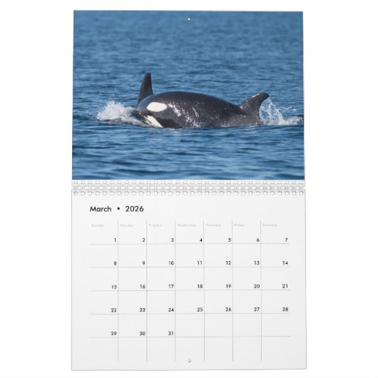 Kalender 2020 - Walfang (Mär 2026)