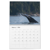 Kalender 2020 - Walfang (Feb 2026)