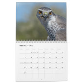 Kalender 2021 12 Monate, Falken (Feb 2027)