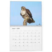 Kalender 2021 12 Monate, Falken (Mär 2027)