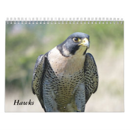 Kalender 2021 12 Monate, Falken
