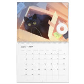 Kalender 2021 Alles über Katzen! (Mär 2027)