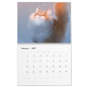 Kalender 2021 Alles über Katzen! (Feb 2027)