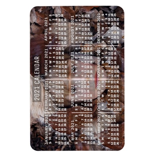 Kalender 2021 (Siehe Beschreibung der neuen Versio Magnet (Vertikal)