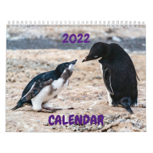 Kalender 2022 - Antarktis