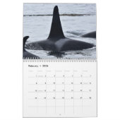 Kalender 2022 für den südlichen Killerwal (Feb 2026)