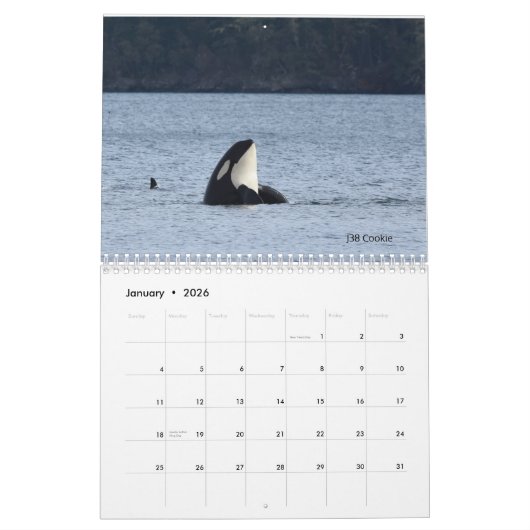 Kalender 2022 für den südlichen Killerwal (Jan 2026)