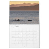 Kalender 2022 für den südlichen Killerwal (Mär 2027)