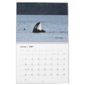 Kalender 2022 für den südlichen Killerwal (Jan 2027)