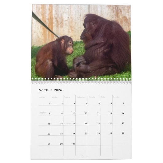 Kalender 2022 speichern (Mär 2026)