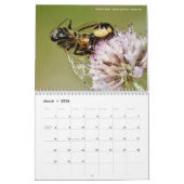 Kalender 2023 (Mär 2026)