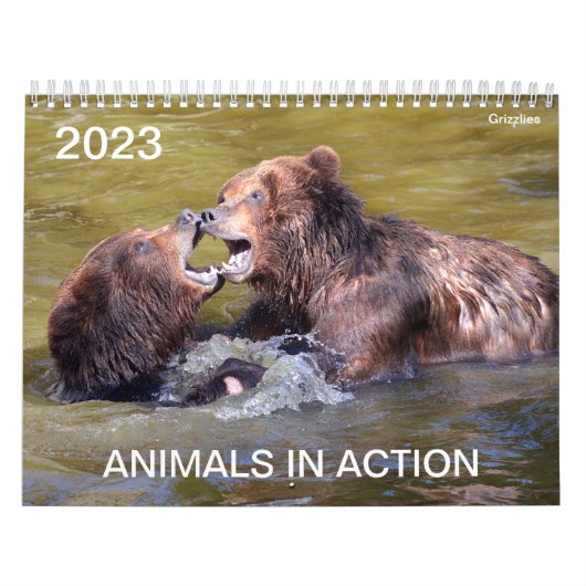 Kalender 2023 (Titelbild)